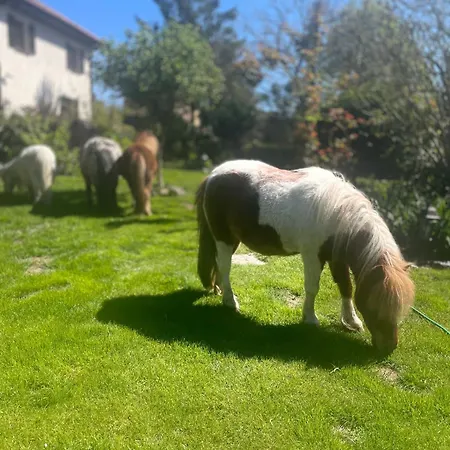 Hébergement de vacances Wakacyjny *