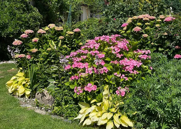 Wakacyjny Casa vacanze