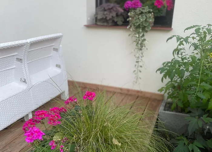 Wakacyjny * Lubin (West Pomeranian)