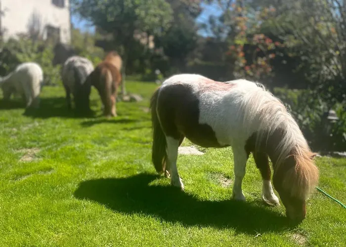 Сasa de vacaciones Wakacyjny *